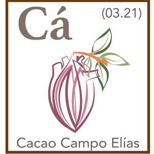 Cacao Campo Elias